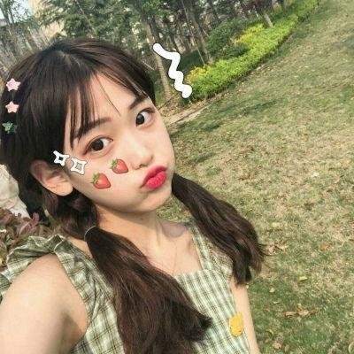 熊族之旅